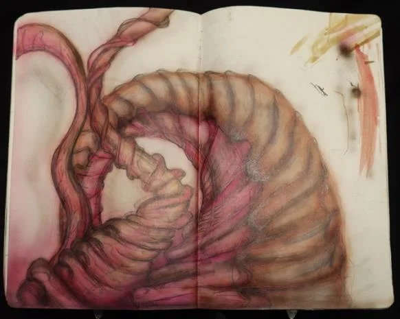 Pink and rust biomechanical coil study
